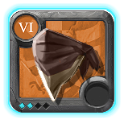Head